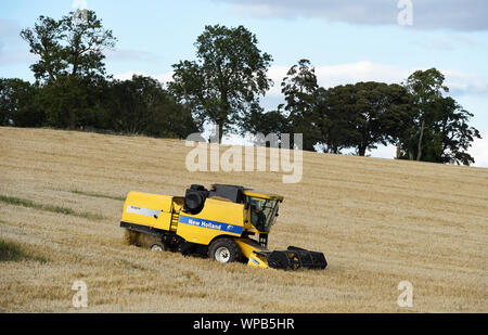 A New Holland combine harvester working in a field near Smailholm, Scottish Borders, Scotland. Stock Photo