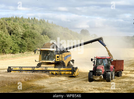 A New Holland combine harvester working in a field near Pathhead, Midlothian,  Scotland. Stock Photo