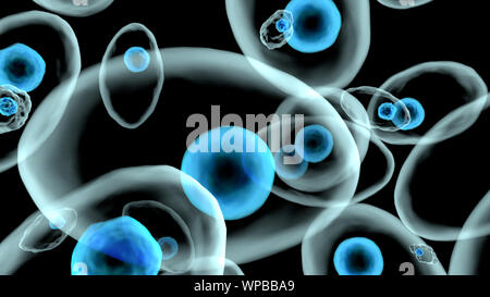 3D rendered Illustration of living cells under the microscope. Stock Photo