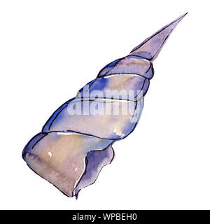 Summer beach seashell tropical elements. Watercolor background set. Isolated shell illustration element. Stock Photo