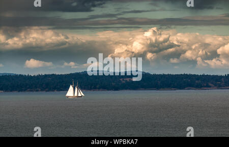 A sailboat cruises through the Gulf Islands off the coast of Victoria British Columbia, Canada. Stock Photo