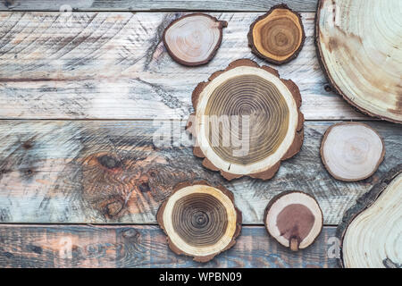 Top view of tree logs cut slices with rings on a rustic wood background with copy space. Stock Photo