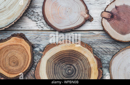 Flat lay picture of tree wood log slices on a rustic wooden background. Stock Photo