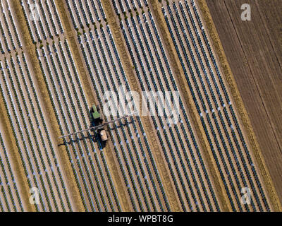 Straight down view of tractor spraying chemical fertilizer or pesticide on a tomato field. Stock Photo