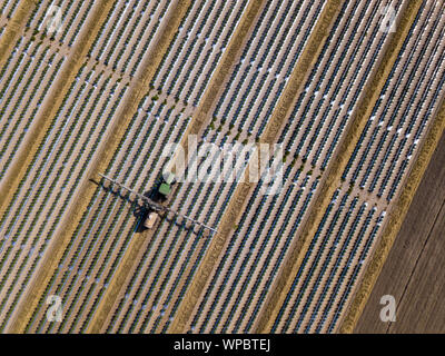 Straight down view of tractor spraying chemical fertilizer or pesticide on a tomato field. Stock Photo