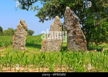 The 3 megalthic menhirs of Oppagne (3 Menhirs d'Oppagne) from around 3000 BC (Seine-Oise-Marne culture) in Weris, Belgium Stock Photo