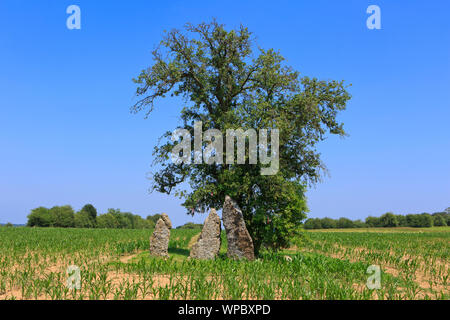 The 3 megalthic menhirs of Oppagne (3 Menhirs d'Oppagne) from around 3000 BC (Seine-Oise-Marne culture) in Weris, Belgium Stock Photo