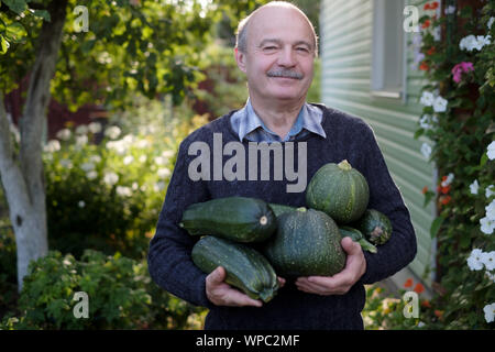 Senior hispanic man holding fresh seasonal green zucchini smiling being content with his autumn harvest. Stock Photo