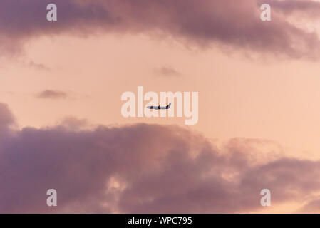 An airliner plane heading out of Southend, UK, at sunset with pink tinged clouds. Air travel. Flying at dusk, sunset. Ryanair Boeing 737 Stock Photo