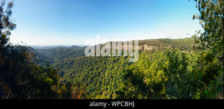 Scenic Panoramic view of Springbrook National Park from the Canyon Lookout, World Heritage Area, Gold Coast Hinterland, Queensland, QLD, Australia Stock Photo
