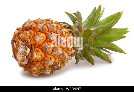mini pineapple path isolated on white Stock Photo