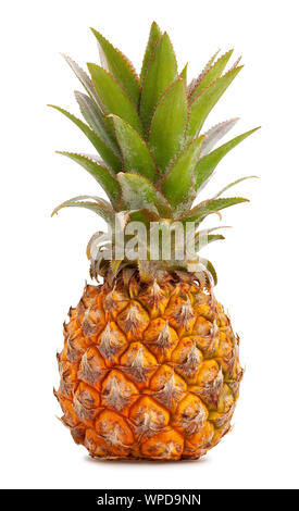 mini pineapple path isolated on white Stock Photo