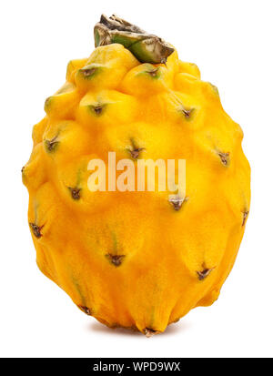 yellow dragonfruit pitahaya path isolated on white Stock Photo