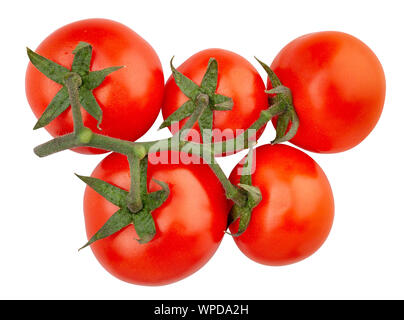 tomato branch path isolated on white Stock Photo