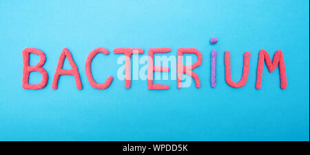 The inscription bacterium from red letters on a blue background, the concept of the development and evolution of bacteria in biology, background Stock Photo