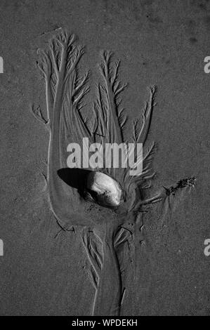Dendrite patterns made by water flowing around a rock on a beach Stock ...