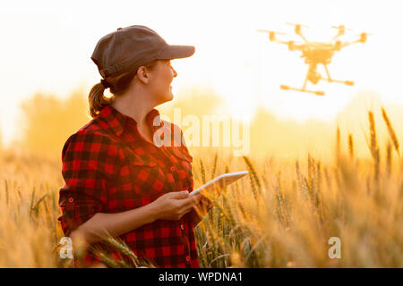 Woman farmer controls drone with a tablet. Smart farming and agriculture Stock Photo