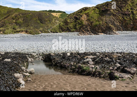 Babbacombe Beach, North Devon, at Low Tide – Looking Inland at the South West Coast Path, Pebble Beach and Cliffs. Babbacombe Beach, Near Bucks Mills, Stock Photo