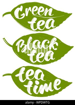 collection with label tea leaves isolated on white background hand drawn vector illustration sketch. Stock Vector