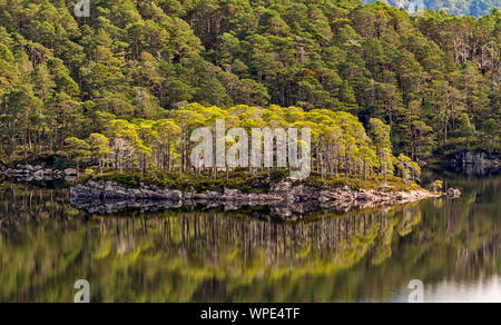 LOCH MAREE WESTER ROSS HIGHLANDS SCOTLAND AN ISLAND REFLECTED IN MIRROR CALM WATER IN LATE SUMMER Stock Photo