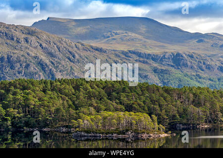 LOCH MAREE WESTER ROSS HIGHLANDS SCOTLAND ISLANDS AND SCOTS PINE TREES IN LATE SUMMER Stock Photo