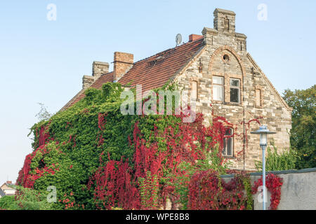 Very old house with beautiful overgrown facade as part of nature Stock Photo