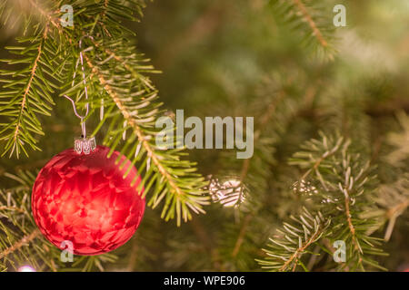 Red Christmas bauble hanging from the branch of a Christmas tree Stock Photo