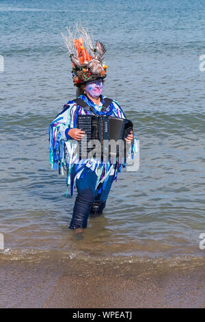 Female accordion player musician for Exmoor Border Morris morris dancer playing in the sea at Swanage Folk Festival, Swanage, Dorset UK in September Stock Photo