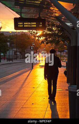 Paris, Straßenbahn T3 auf den Boulevard des Maréchaux - Paris, Tramway T3 at Boulevard des Maréchaux Stock Photo