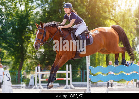 Young horse rider woman jumping over the obstacle on show jumping competition. Equestrian sport background Stock Photo