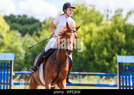 Young female horse rider on equestrian sport competition. Stock Photo