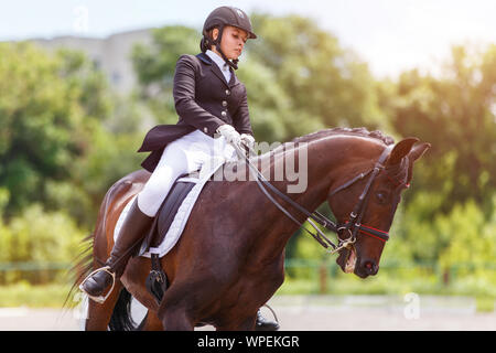 Young female horse rider on equestrian sport competition. Stock Photo