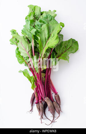 Young beetroot green tops on white background Stock Photo