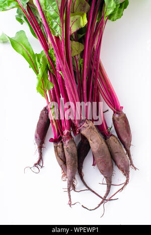 Young beetroot green tops on white background Stock Photo