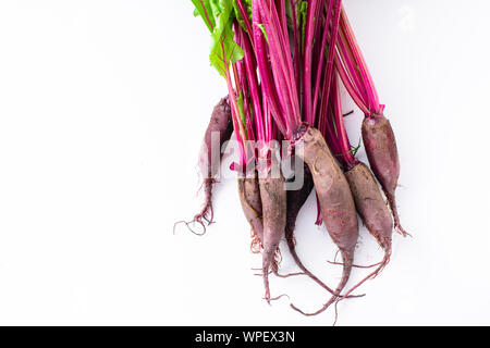 Young beetroot green tops on white background Stock Photo