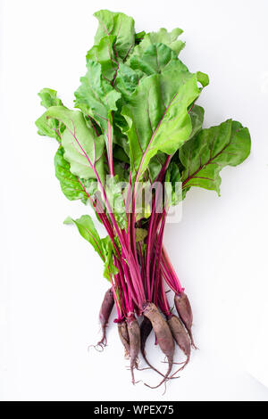 Young beetroot green tops on white background Stock Photo