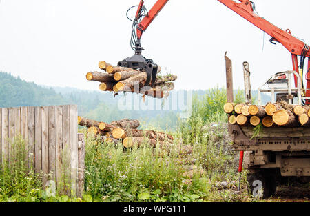 pine logs ready for transportation in logging in russian siberia outdoor on summer day Stock Photo