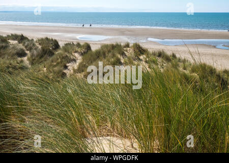 Sandy,Ynyslas Beach,famous,for,its,long,beach,and,sand,dunes,near, Borth,few, miles,north,of, Aberystwyth,Mid,Wales,Welsh,UK,GB,Great,Britain,British Stock Photo