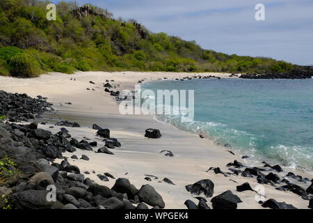 Ecuador Galapagos Island Isla Santa Cruz Playa Baquerizo Beach Stock Photo