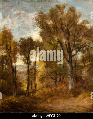 John Constable, Dedham Vale, landscape painting 1802 Stock Photo - Alamy