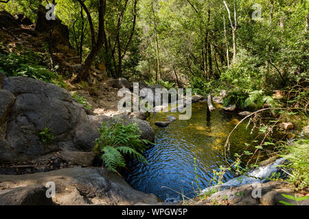 Serra do Espinhal, Portugal - August 31, 2019 : Waterfall Pedra Ferida, Coimbra, Portugal Stock Photo