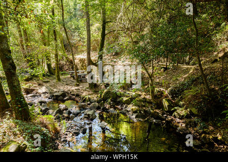 Serra do Espinhal, Portugal - August 31, 2019 : Waterfall Pedra Ferida, Coimbra, Portugal Stock Photo