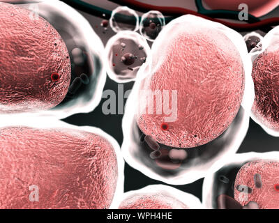 group of living cells under microscope, High quality 3d render of cells, field of cells, structure of the molecule, cell structure, the division of hu Stock Photo