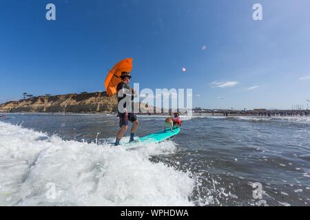 Delmar, CA, USA. 9th Sep, 2019. Everyone has a good time, when the dogs hit the beach in Delmar.The Surf Dog Surf-A-Thon fundraiser in Del Mar helps Helen Woodward Animal Center raise funds for the orphan pets.The Surf Dog Surf-A-Thon takes place every September, at Del MarÃs Dog Beach, located in San Diego County, California. Seen here: Homer and Skyler Credit: Daren Fentiman/ZUMA Wire/Alamy Live News Stock Photo