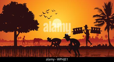 country life of Asia farmer plant rice while a man carry rice seedling and another plow field by buffalo on sunrise time,silhouette style,vector illus Stock Vector