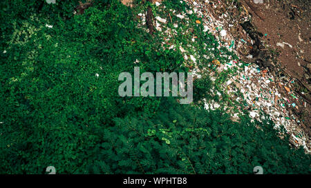 environmental damage of garbage in the nature. garbage and smog in forest . Garbage on the river bank Stock Photo