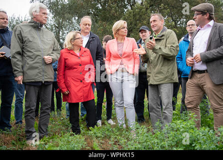 09 September 2019, Brandenburg, Nauen Ot Ribbeck: Svenja Schulze (l, SPD), Minister for the Environment, Nature Conservation and Nuclear Safety, and Julia Klöckner (M, CDU), Federal Minister for Food and Agriculture, visit the Havellandhof Ribbeck farm run by farmer Peter Kaim (3rd from right). In the front left is Michael Otto, founder and chairman of the board of trustees of the environmental foundation, in the background next to him Joachim Rukwied, president of the German Farmers' Association, on the right is Manuel Meger, mayor of Nauen. The Havellandhof is one of ten demonstration farms Stock Photo