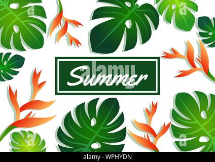Summer sale offer pattern banner philodendron leaves, craw crab flower and label,modern and fashionable design,vector illustration Stock Vector