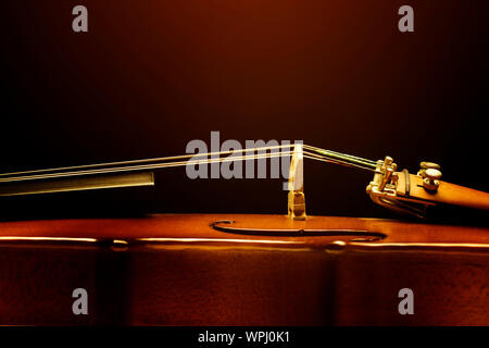 Close up violin on black background Stock Photo