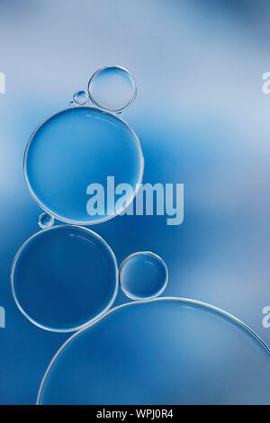 Macro of oil and water bubbles creating a scientific image of cell and cell membrane. Stock Photo
